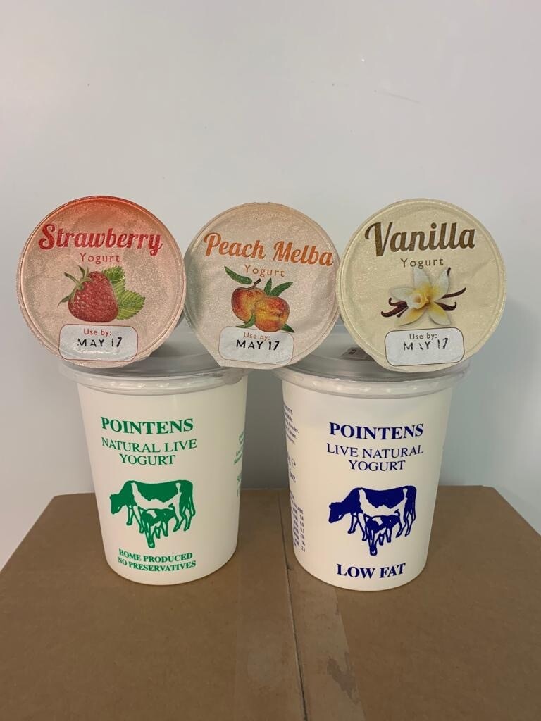 Pointens Yogurt - Large Pot