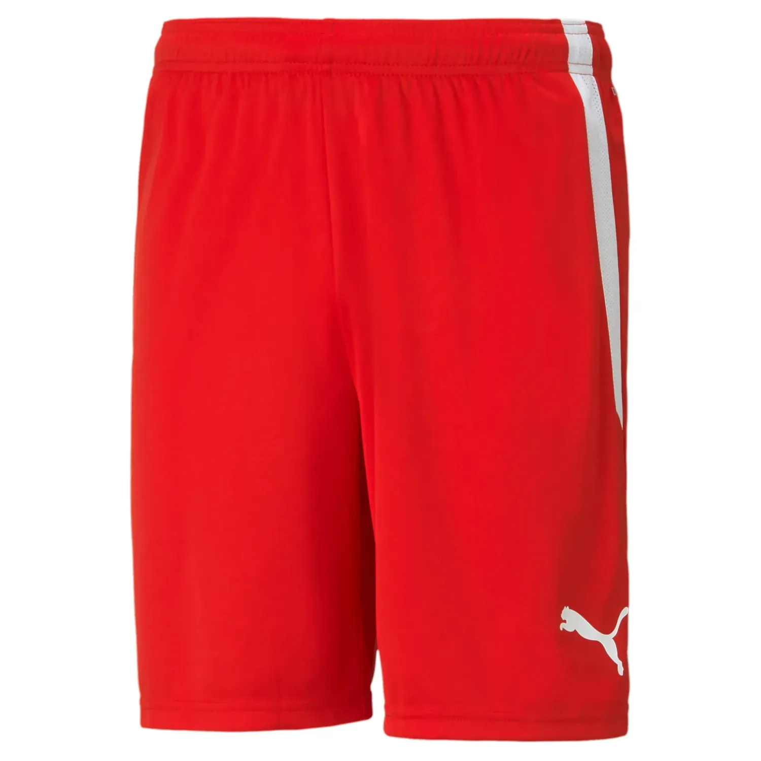 Nordbygda Fotball shorts NY