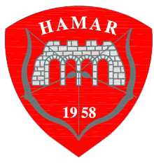 Hamar og Omegn Bueskyttere