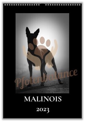 Malinois Kalender 2023