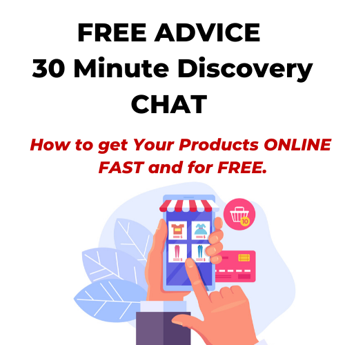 FREE ADVICE - 30 Minute Call - How to get ONLINE FAST and for FREE.