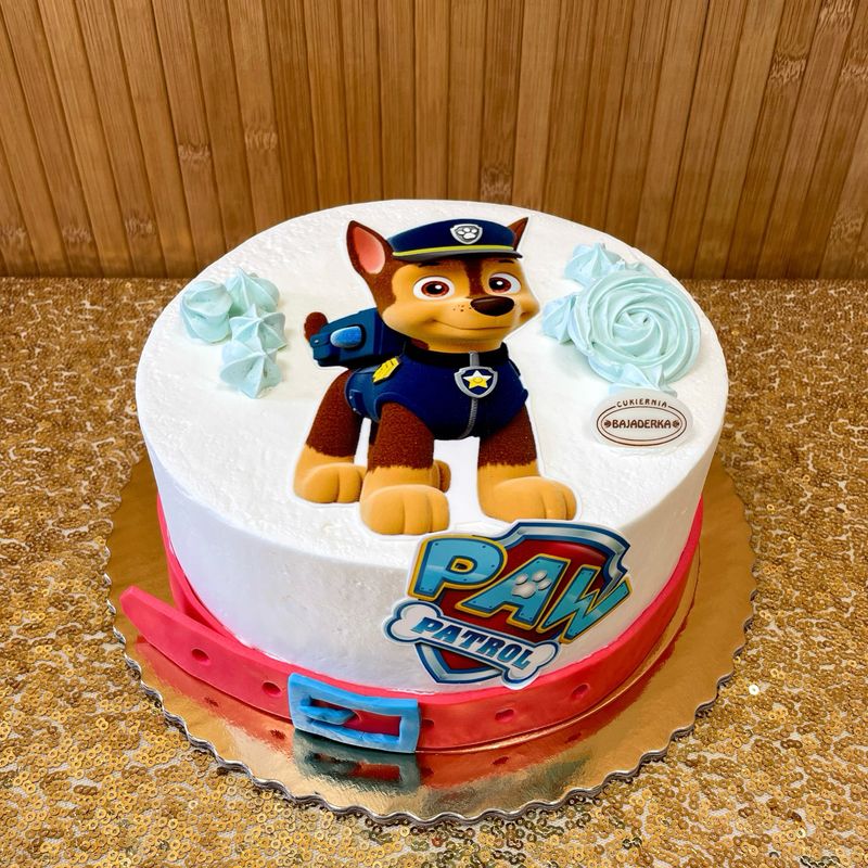 TORT POSTAĆ PSI PATROL