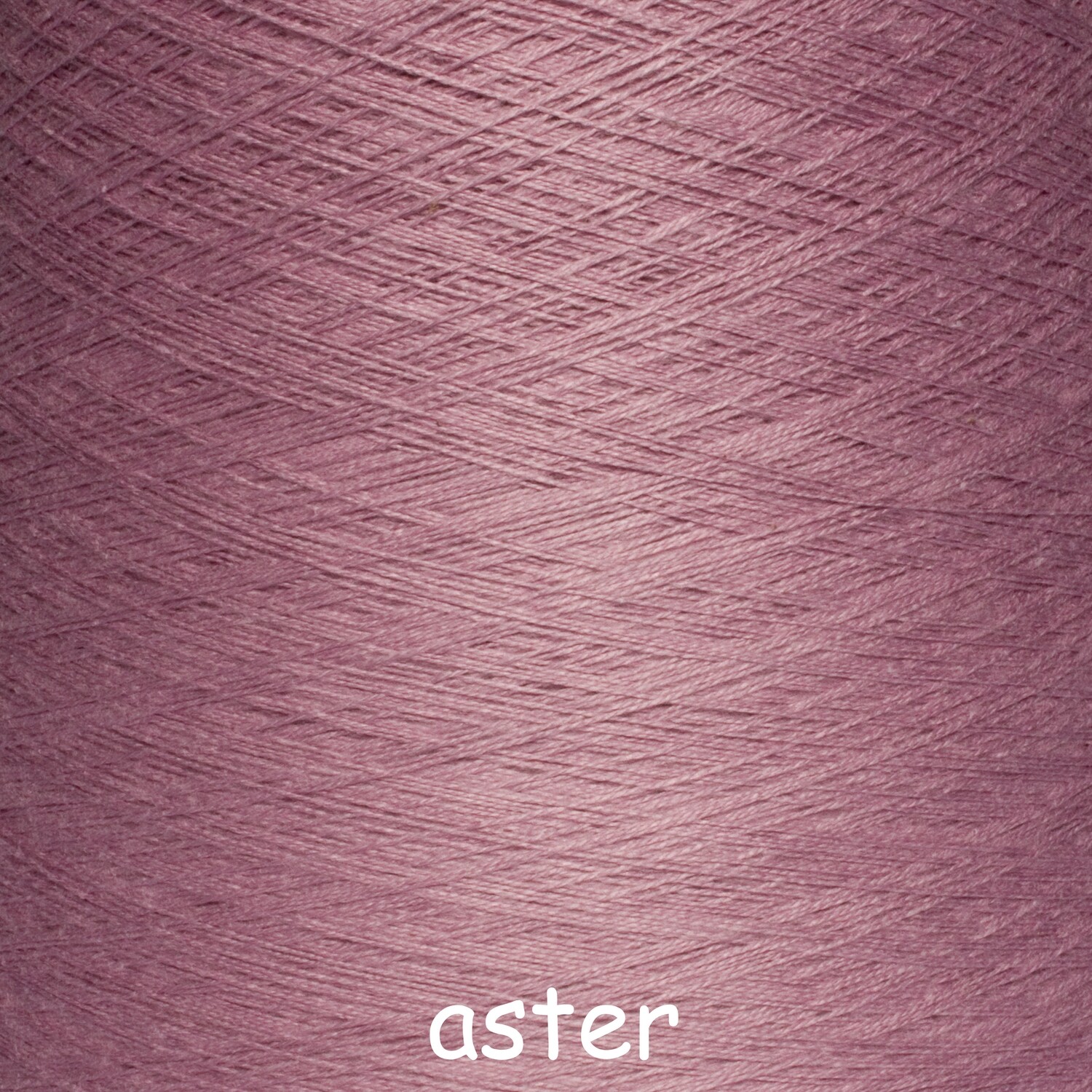 Aster - Sonderfarbe