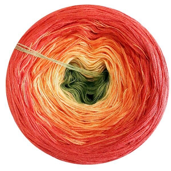 Tulpe 2
