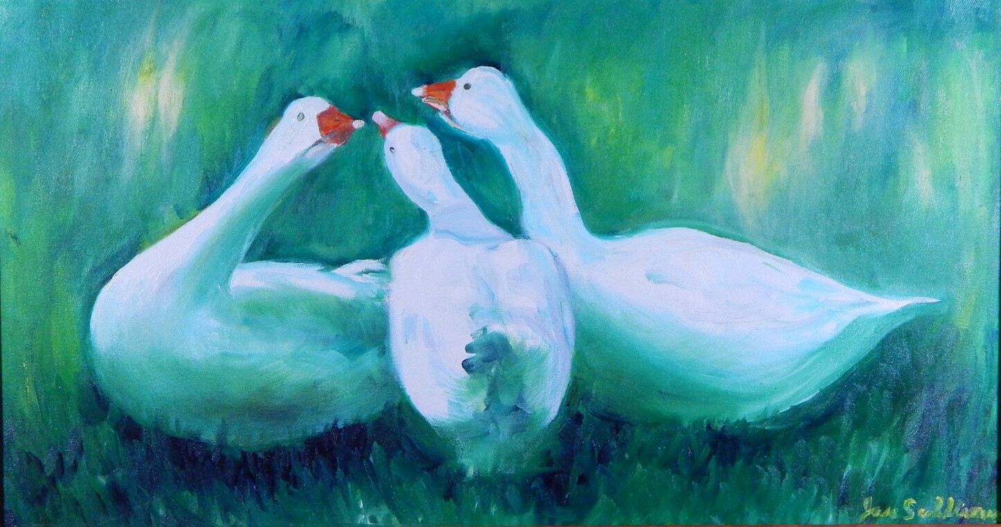 "Three Ducks" Oil Painting, by Jan Sullivan "Three Ducks" Oil Painting, by Jan Sullivan