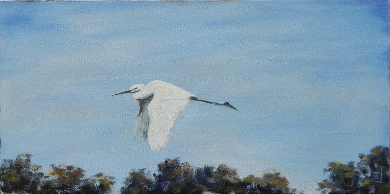 "Hang Gliding"