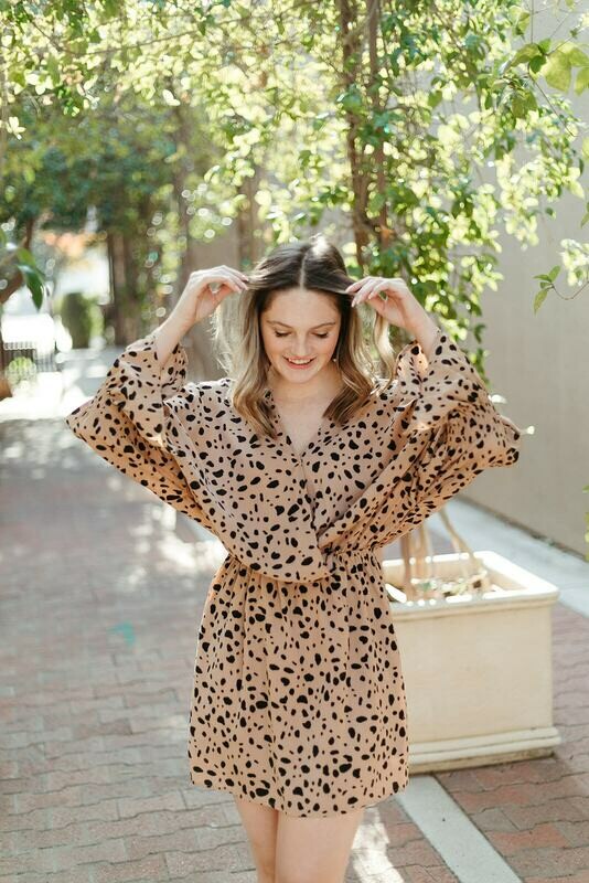 Animal Print Wrap Dress