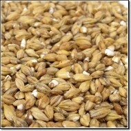 Organic Pilsner Malt