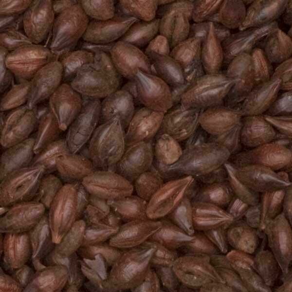 Roasted Barley