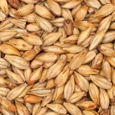 Smoked Malt (Beech)