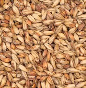 Victory Malt