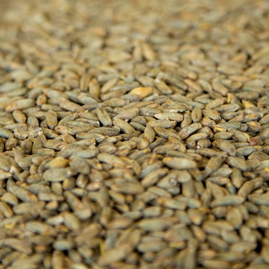 Rye Malt