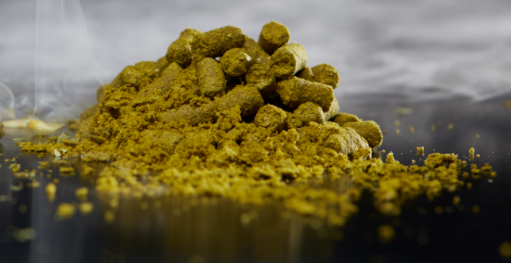 CRYO HOPS Nelson Sauvin