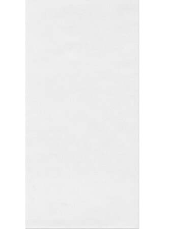 Carboy Liner Bag