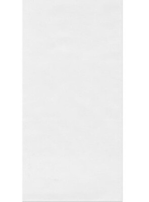 Carboy Liner Bag Carboy Liner Bag