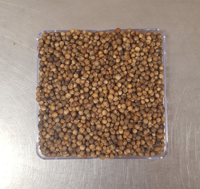 Coriander Seed - 1oz