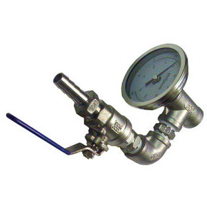 Thermonitor and Ball Valve