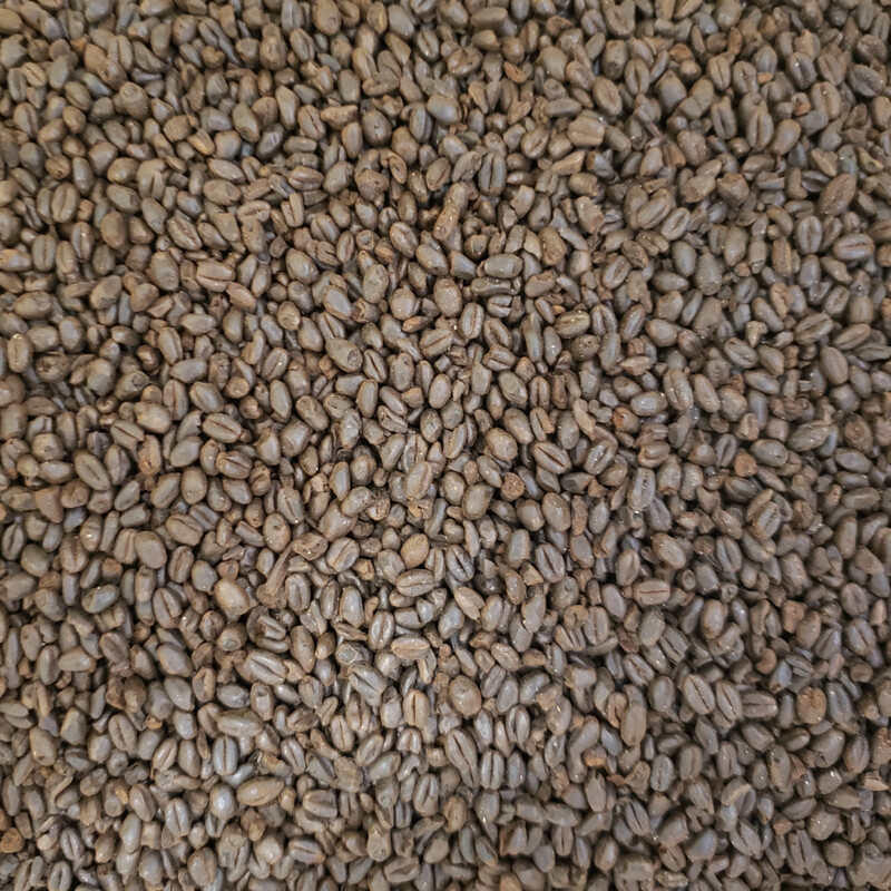 Midnight Wheat Malt