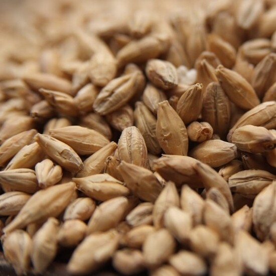 Spelt Malt