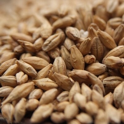 Spelt Malt
