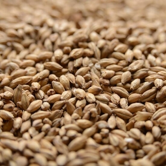 Peated Malt