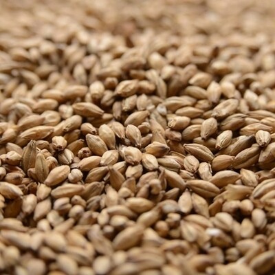 Peated Malt