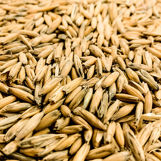 Honey Malted Oats