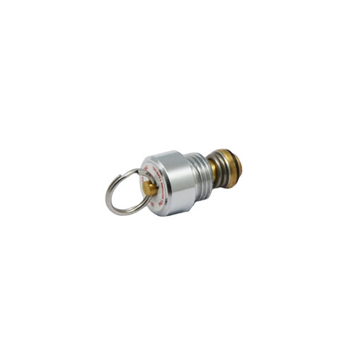 Pressure Relief Valve - 55 PSI