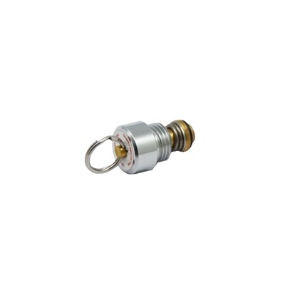 Pressure Relief Valve - 55 PSI
