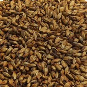 Extra Special Malt