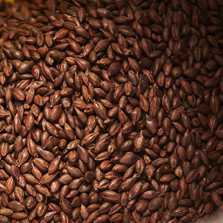 Carafa Special Malt Type II