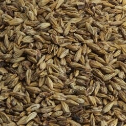 Caramel Steam Malt