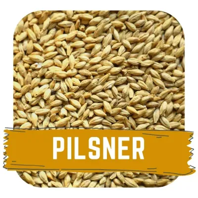 Organic Harrington Pilsner (Hogarth)