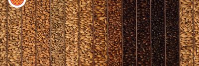 Specialty Malts