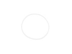 Chugger Pump Parts - Silicon O-Ring