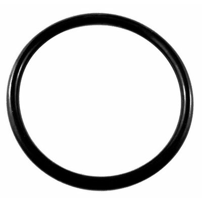 Keg Lid O-Ring