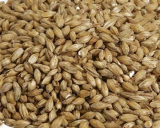 Premium Six Row Brewers Malt
