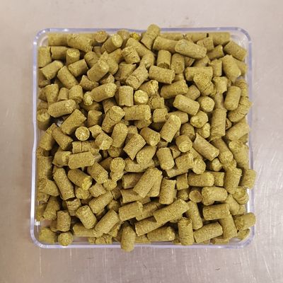 Hallertau Mittelfruh - Pellets