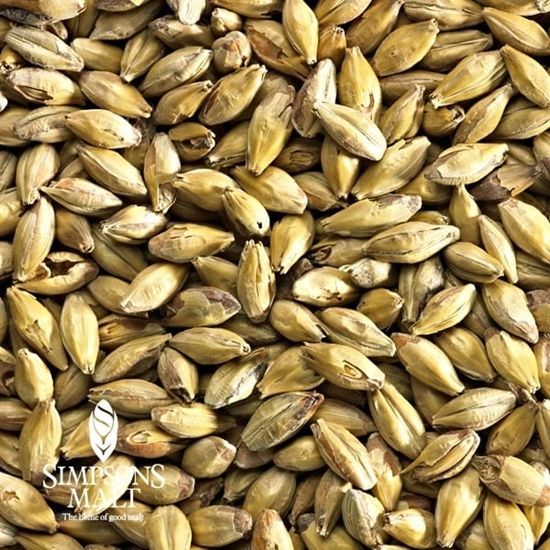 Amber Malt