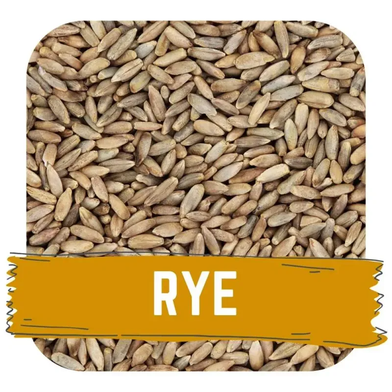 Organic Rye Malt (Hogarth)