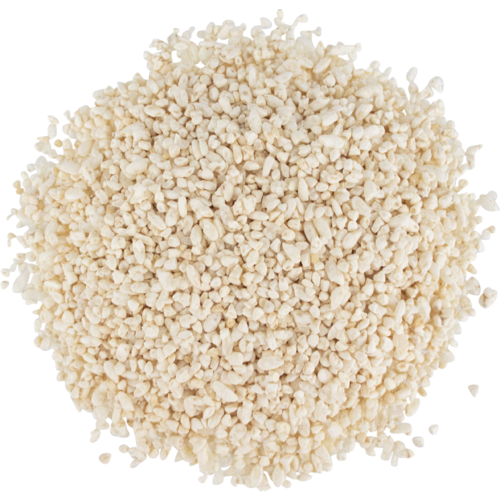 Japanese White Koji