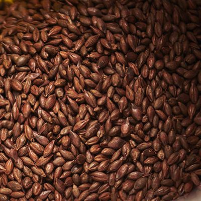 Carafa Special Malt Type II Carafa Special Malt Type II