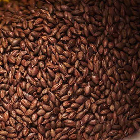 Carafa Special Malt Type II