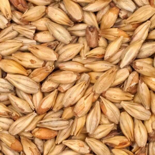 Biscuit Malt