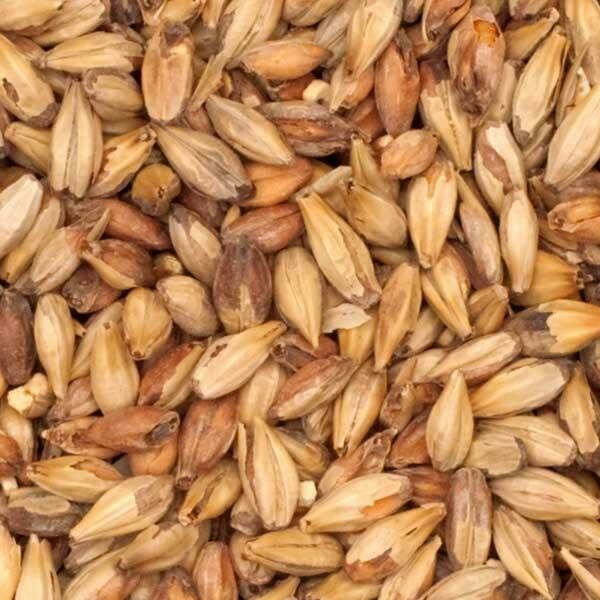 Caramunich Malt 40L Caramunich Malt 40L