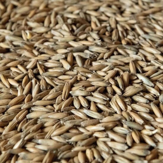 Oat Malt