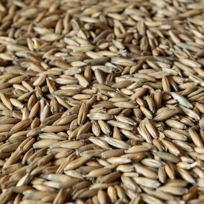Oat Malt