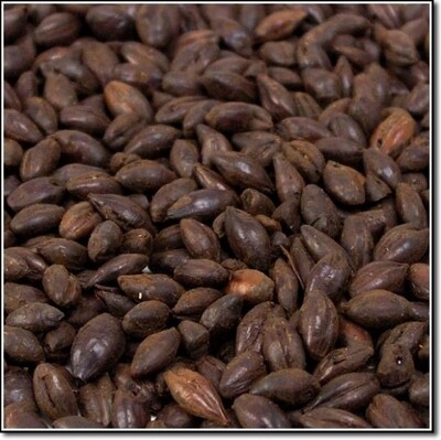 Pale Chocolate Malt