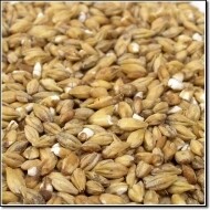Pilsner (Barke) Malt 55lb Sack