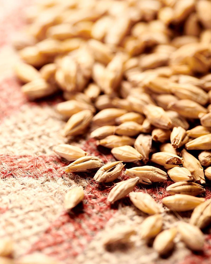 Pilsner Malt (Weyermann) Pilsner Malt (Weyermann)